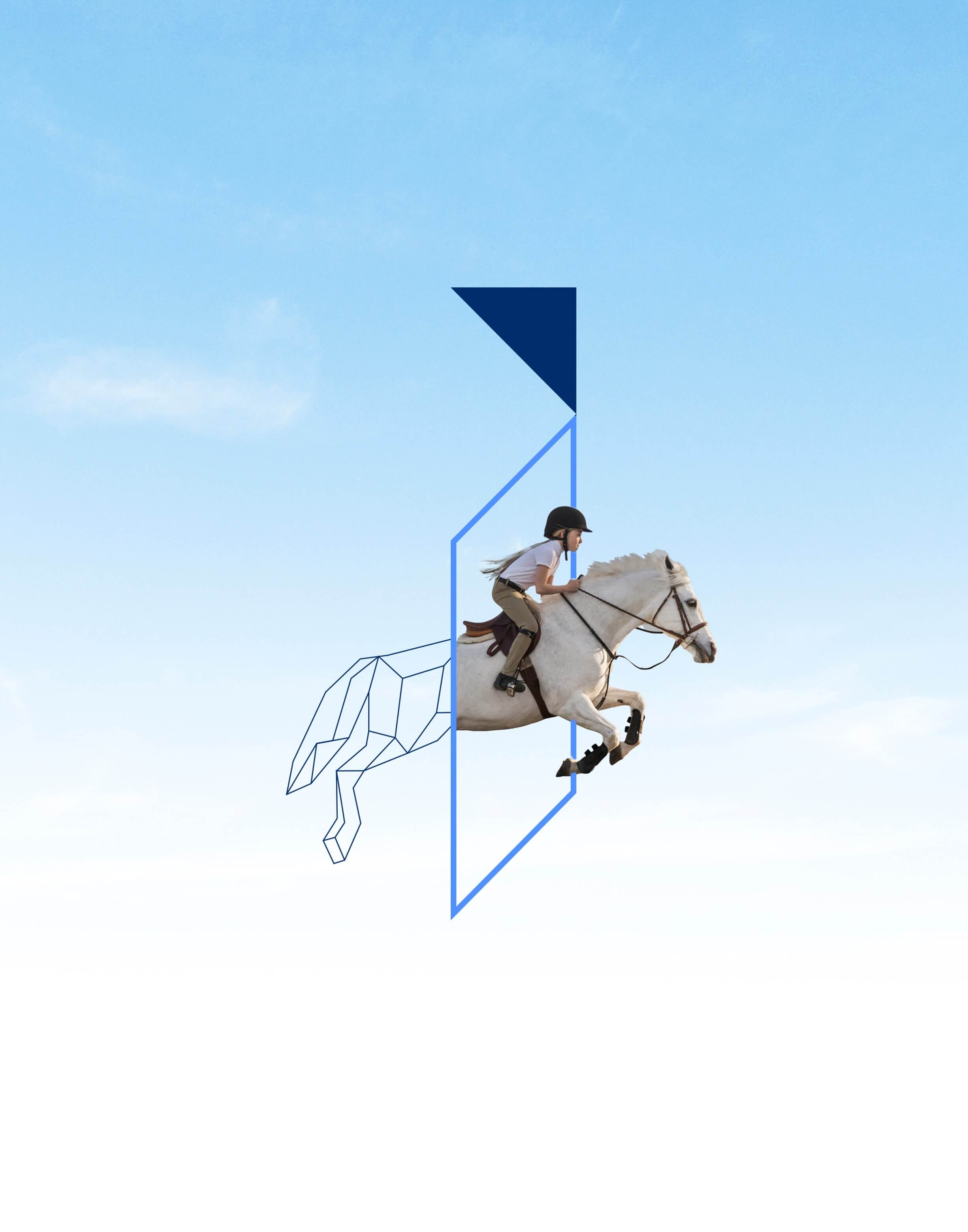 An Insurer with Investment Expertise